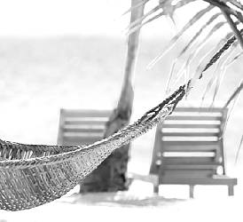Mauritius  retreat with Maitreyi